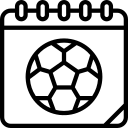 柳琴果